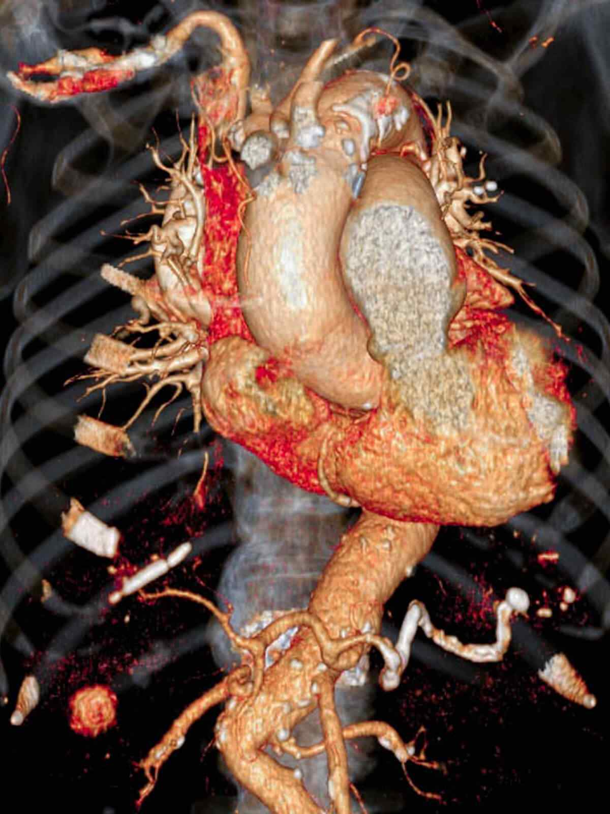 single_service_01 https://saint-esprit-sante.com/wp-content/uploads/2021/09/single_service_01.jpg